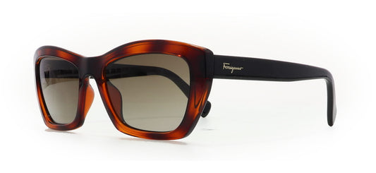 Image of Salvatore Ferragamo Eyewear Frames