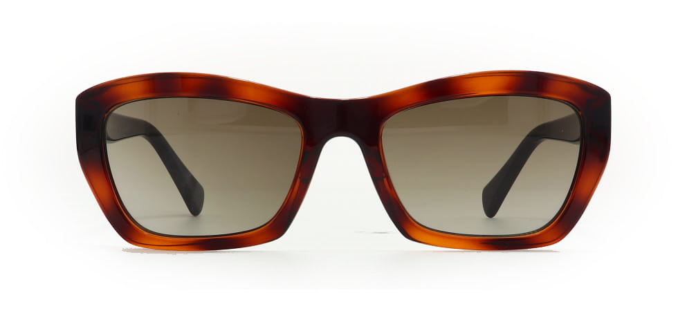 Image of Salvatore Ferragamo Eyewear Frames