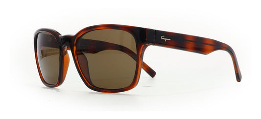 Image of Salvatore Ferragamo Eyewear Frames