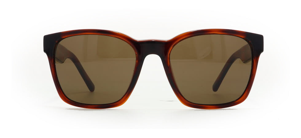 Image of Salvatore Ferragamo Eyewear Frames