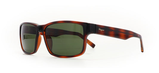 Image of Salvatore Ferragamo Eyewear Frames