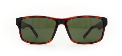 Image of Salvatore Ferragamo Eyewear Frames