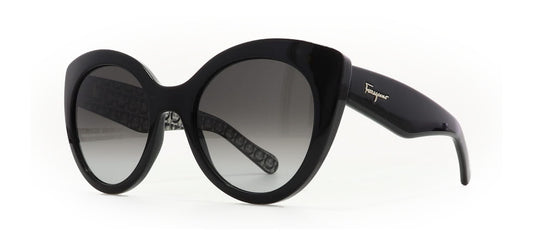 Image of Salvatore Ferragamo Eyewear Frames