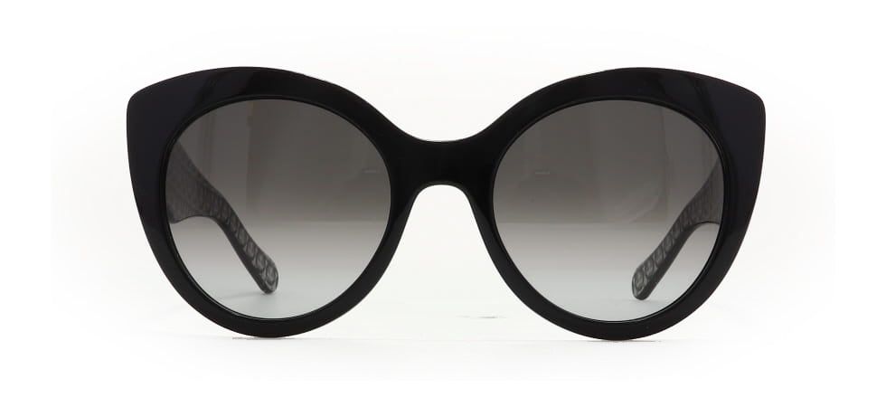 Image of Salvatore Ferragamo Eyewear Frames