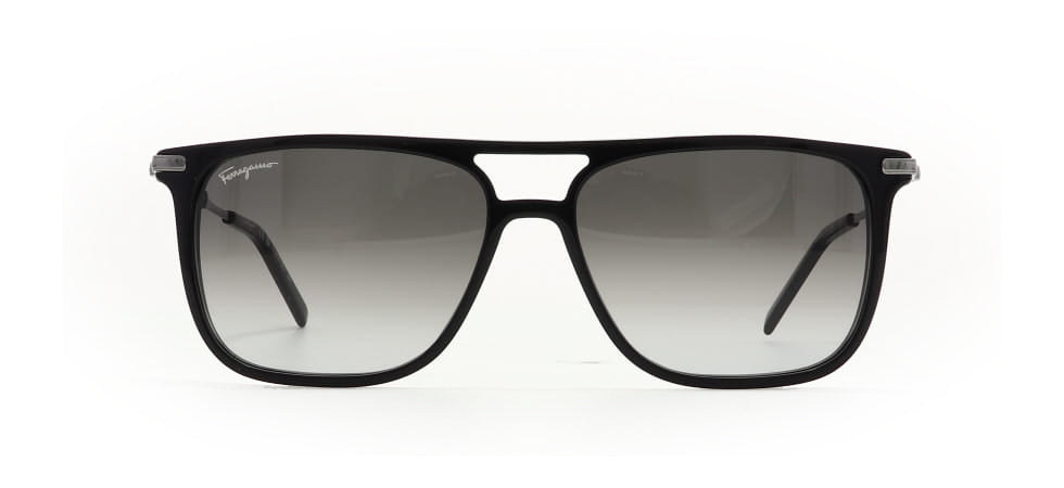 Image of Salvatore Ferragamo Eyewear Frames