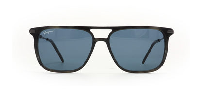 Image of Salvatore Ferragamo Eyewear Frames