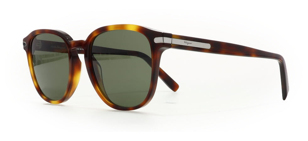 Image of Salvatore Ferragamo Eyewear Frames