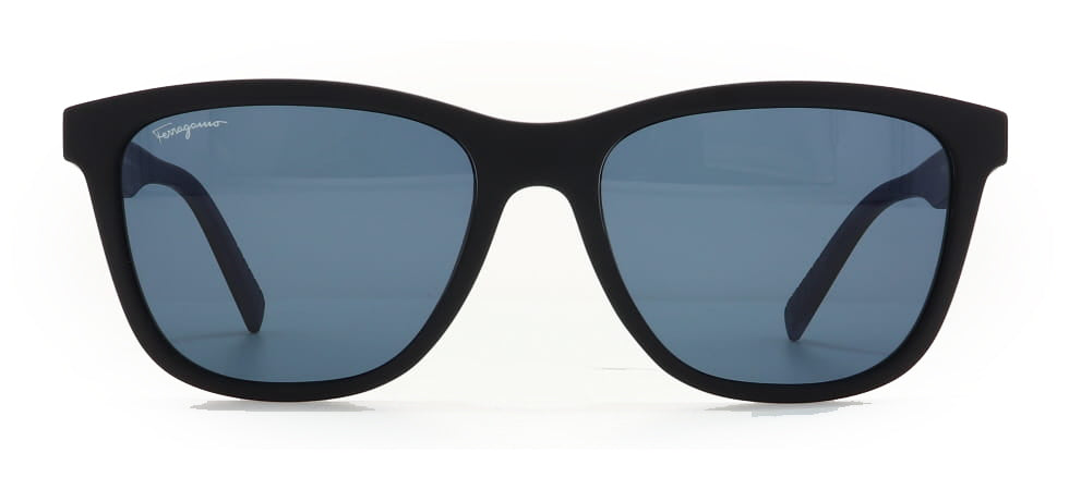 Image of Salvatore Ferragamo Eyewear Frames