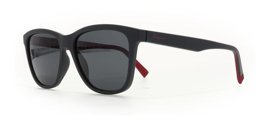 Image of Salvatore Ferragamo Eyewear Frames