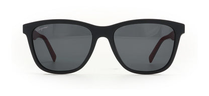 Image of Salvatore Ferragamo Eyewear Frames