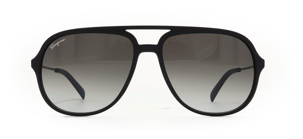 Image of Salvatore Ferragamo Eyewear Frames