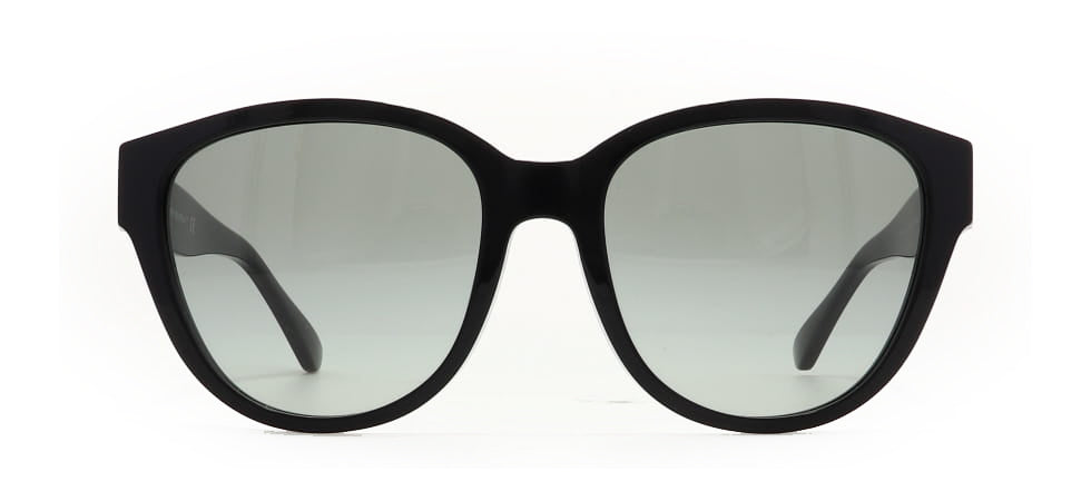 Image of Tory Burch Eyewear Frames