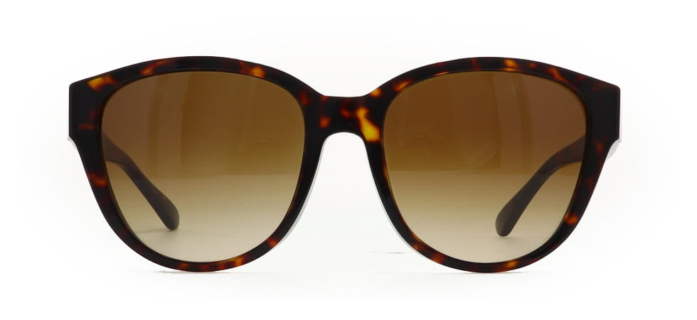 Image of Tory Burch Eyewear Frames