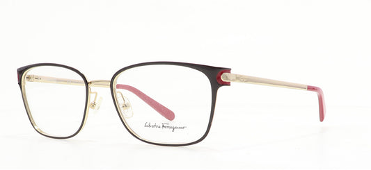Image of Salvatore Ferragamo Eyewear Frames