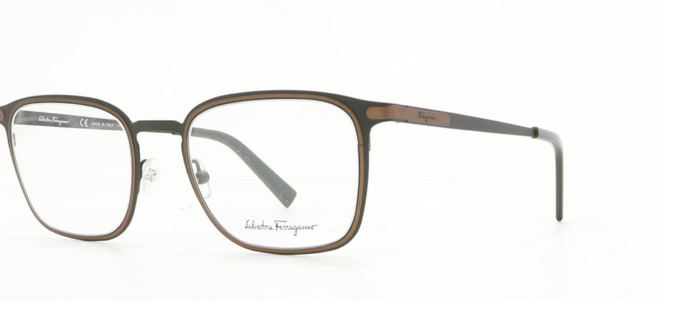 Image of Salvatore Ferragamo Eyewear Frames