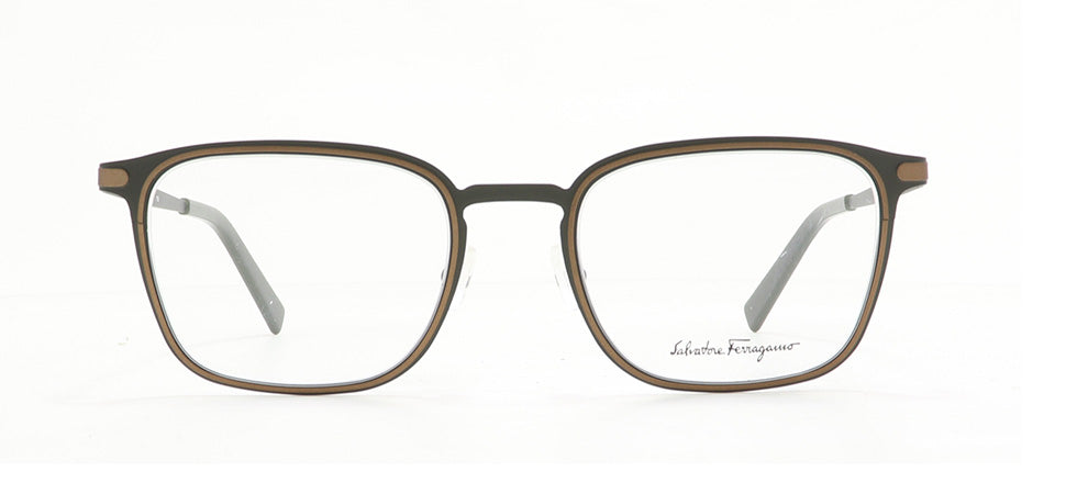 Image of Salvatore Ferragamo Eyewear Frames
