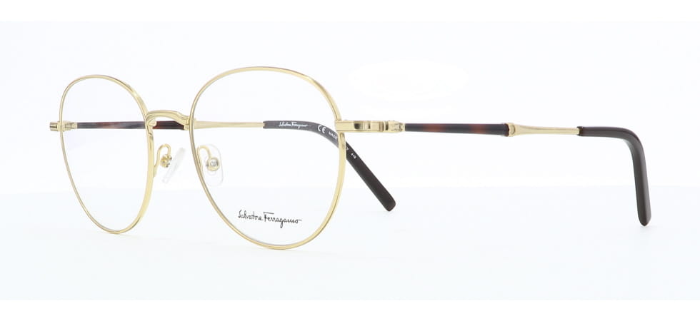 Image of Salvatore Ferragamo Eyewear Frames