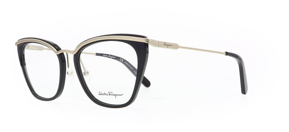 Image of Salvatore Ferragamo Eyewear Frames