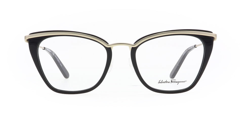 Image of Salvatore Ferragamo Eyewear Frames