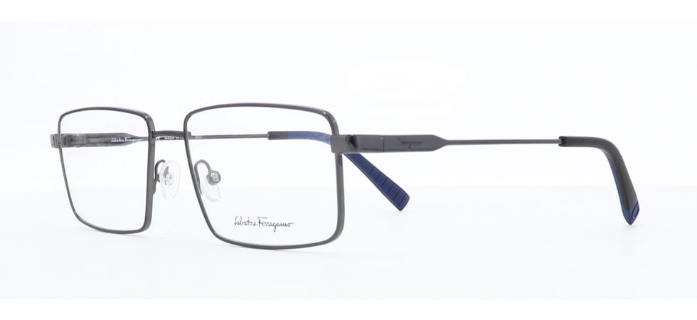 Image of Salvatore Ferragamo Eyewear Frames