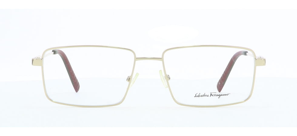 Image of Salvatore Ferragamo Eyewear Frames