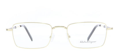 Image of Salvatore Ferragamo Eyewear Frames