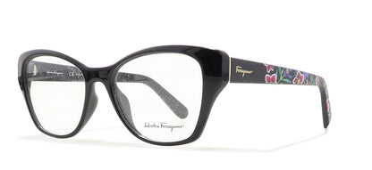 Image of Salvatore Ferragamo Eyewear Frames