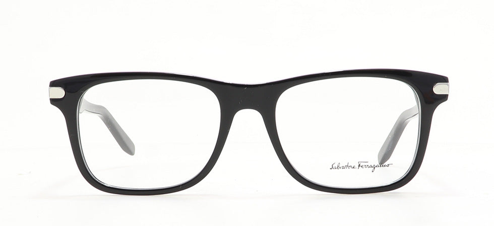 Image of Salvatore Ferragamo Eyewear Frames