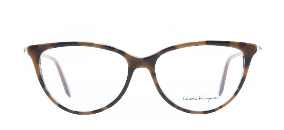 Image of Salvatore Ferragamo Eyewear Frames