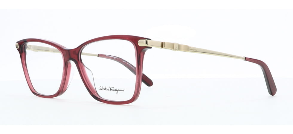 Image of Salvatore Ferragamo Eyewear Frames