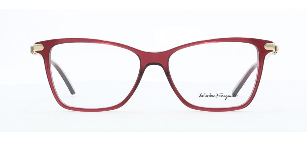 Image of Salvatore Ferragamo Eyewear Frames