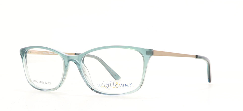 Image of Wildflower Eyewear Frames