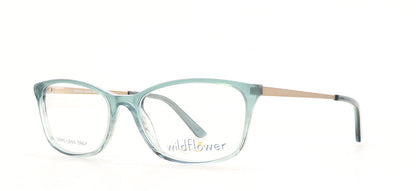 Image of Wildflower Eyewear Frames