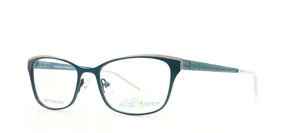 Image of Wildflower Eyewear Frames