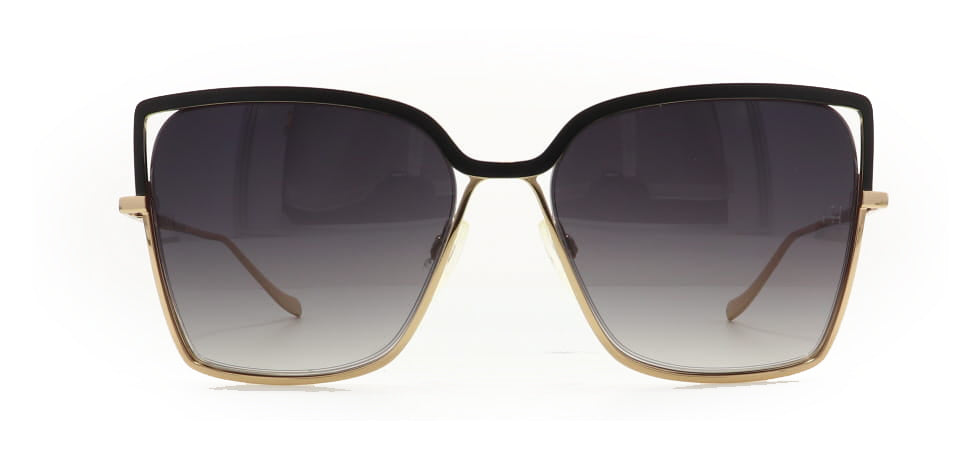 Image of Ana Hickmann Eyewear Frames