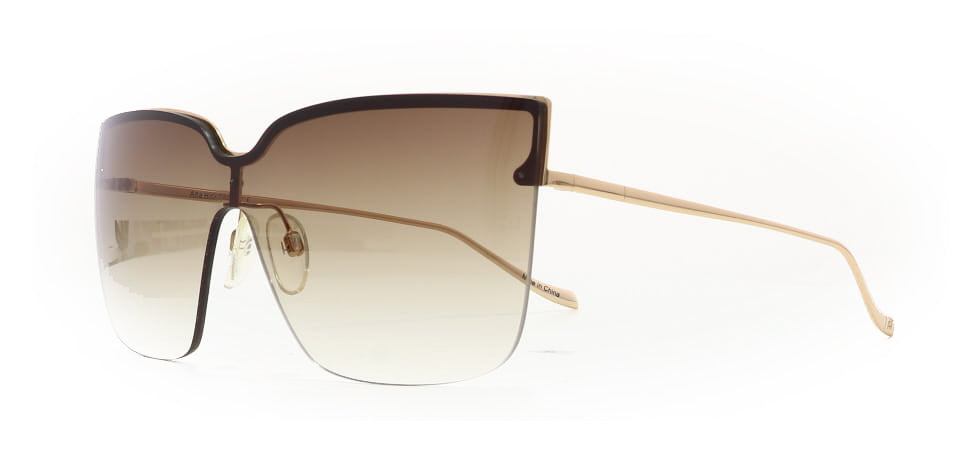 Image of Ana Hickmann Eyewear Frames