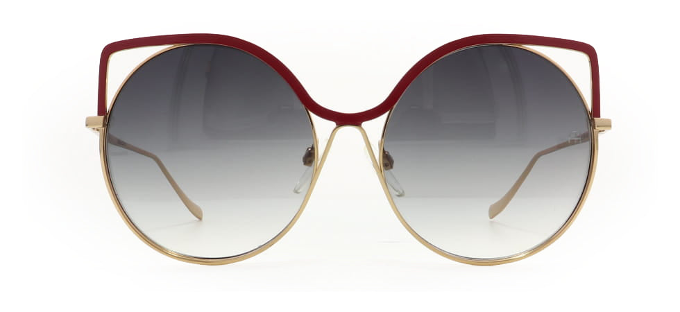 Image of Ana Hickmann Eyewear Frames