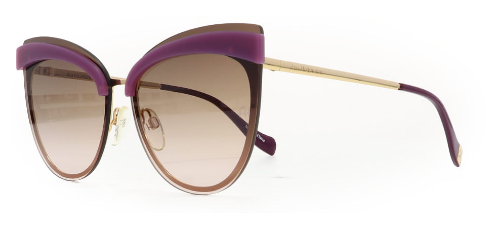 Image of Ana Hickmann Eyewear Frames