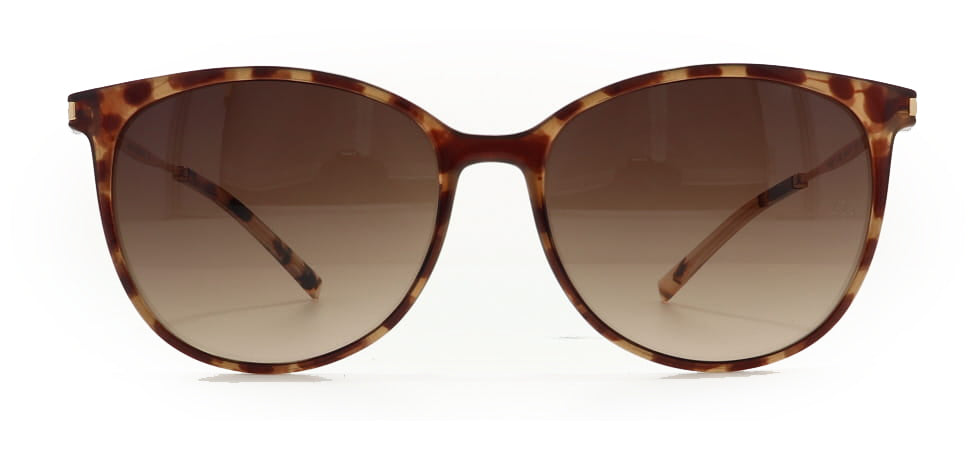 Image of Ana Hickmann Eyewear Frames