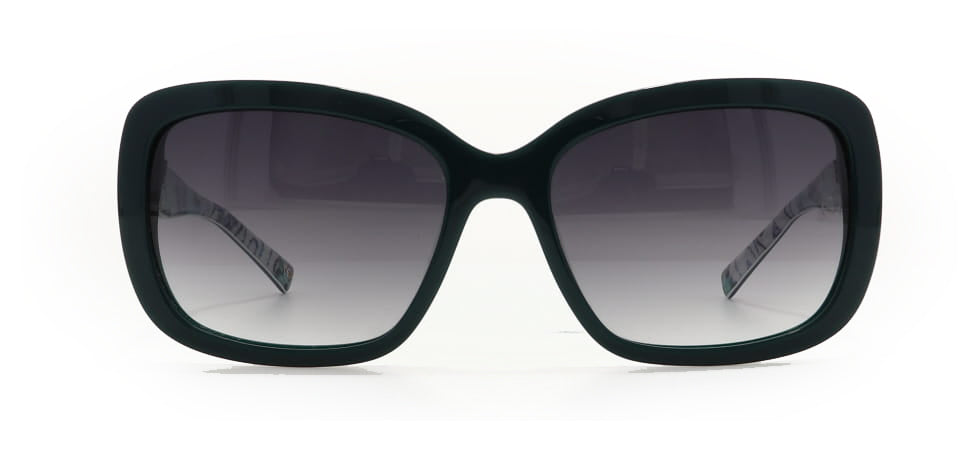 Image of Ana Hickmann Eyewear Frames