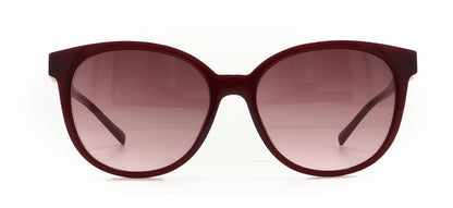 Image of Ana Hickmann Eyewear Frames