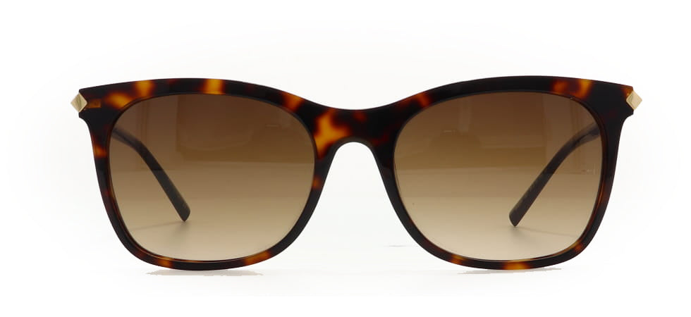 Image of Ana Hickmann Eyewear Frames