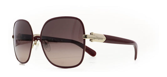 Image of Salvatore Ferragamo Eyewear Frames