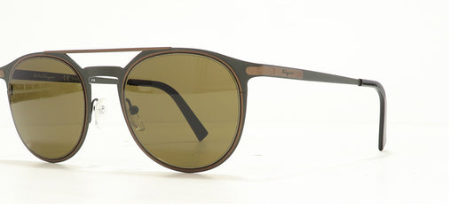 Image of Salvatore Ferragamo Eyewear Frames