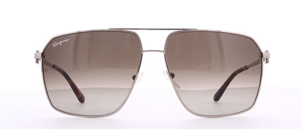 Image of Salvatore Ferragamo Eyewear Frames