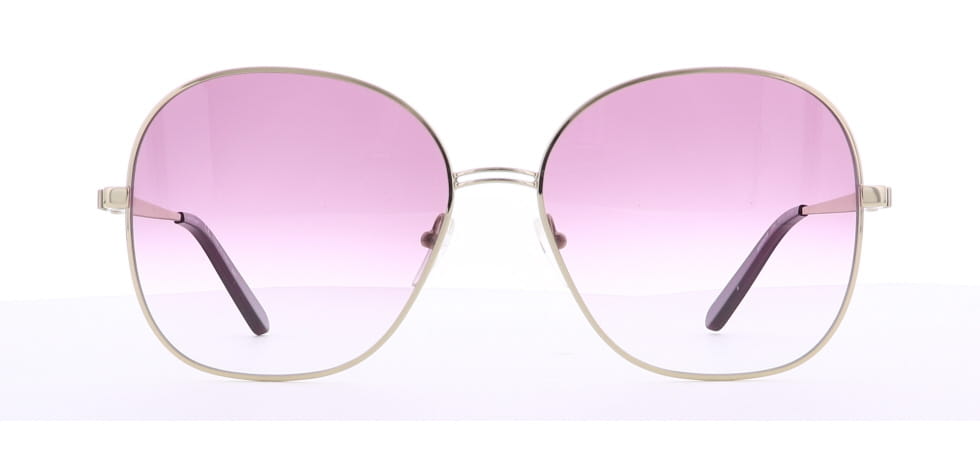 Image of Salvatore Ferragamo Eyewear Frames