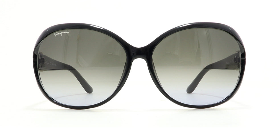 Image of Salvatore Ferragamo Eyewear Frames