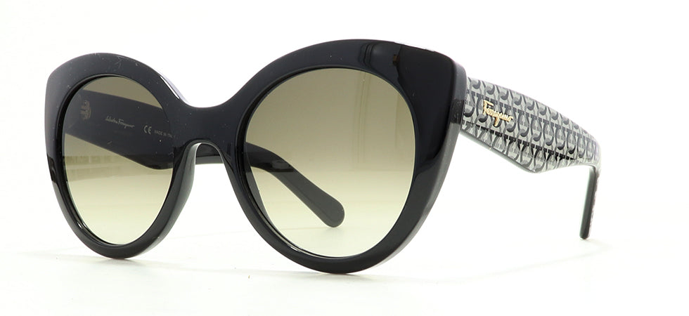 Image of Salvatore Ferragamo Eyewear Frames